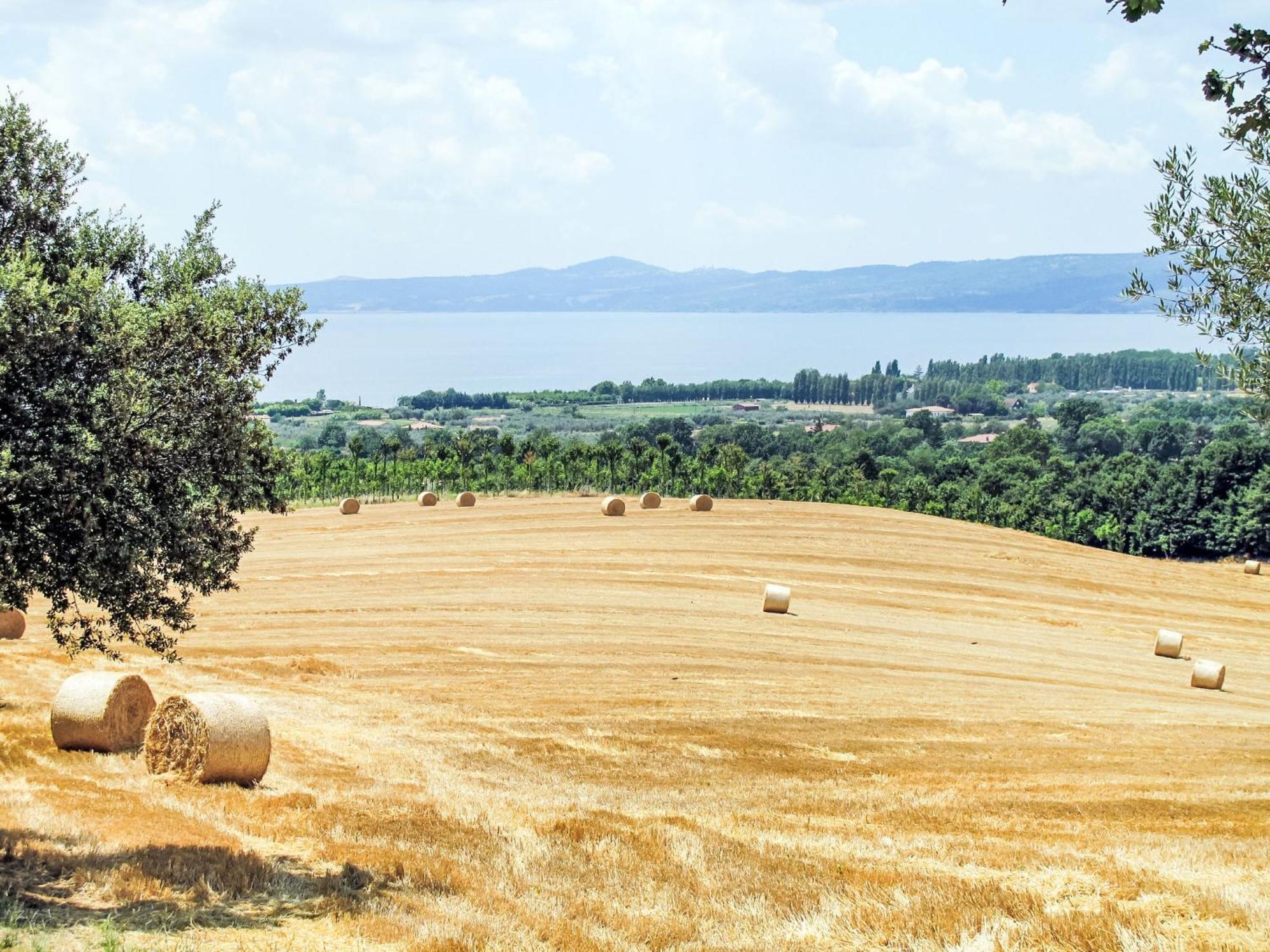 Holiday Home Chalet Del Lago By Interhome Bolsena Exterior photo